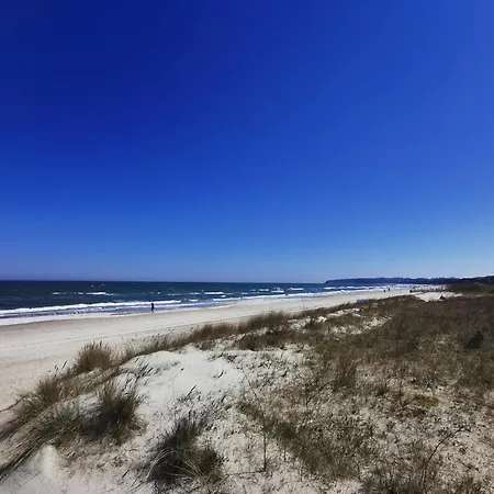 Reetdach Ferienhaeuser Alt Reddevitz