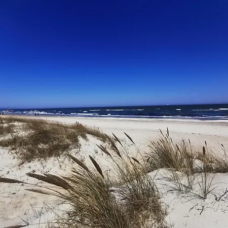 別荘 Reetdach Ferienhaeuser