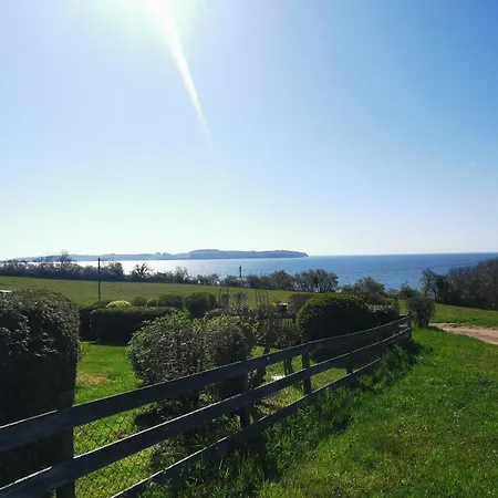 Reetdach Ferienhaeuser * Alt Reddevitz