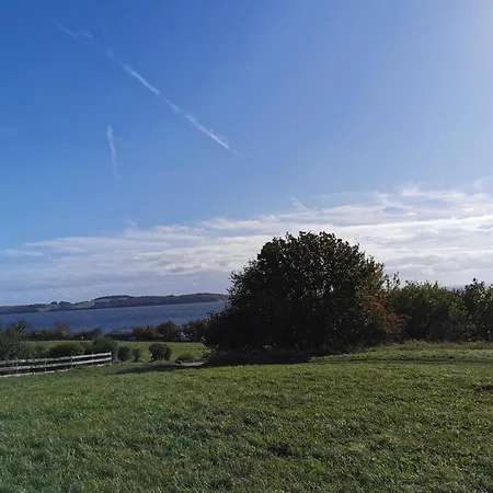 別荘 Reetdach Ferienhaeuser *