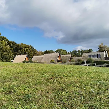Reetdach Ferienhaeuser Alt Reddevitz