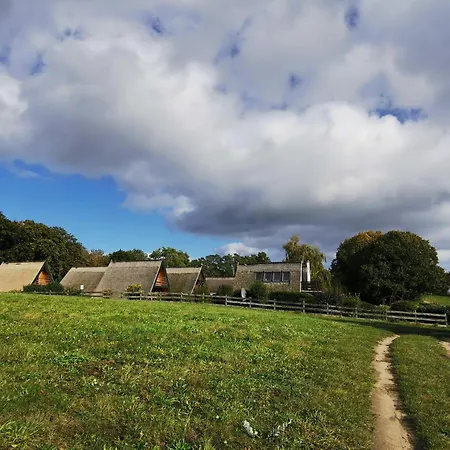 Hébergement de vacances Reetdach Ferienhaeuser *