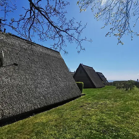 Reetdach Ferienhaeuser Alt Reddevitz