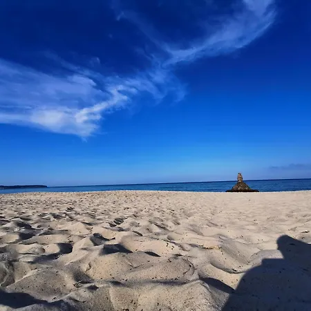 Reetdach Ferienhaeuser 別荘 *