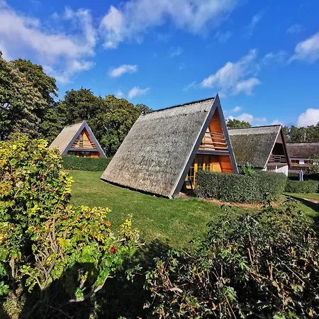 Reetdach Ferienhaeuser