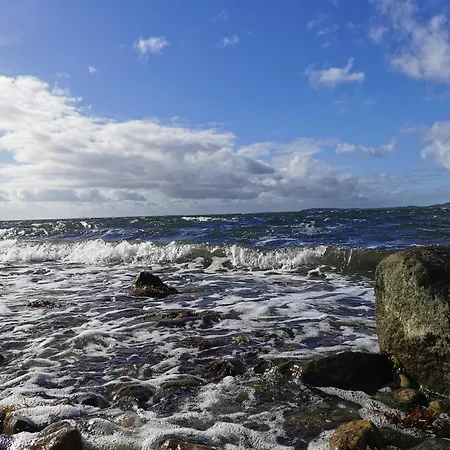 Reetdach Ferienhaeuser