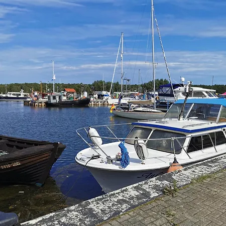 Reetdach Ferienhaeuser 別荘 Alt Reddevitz