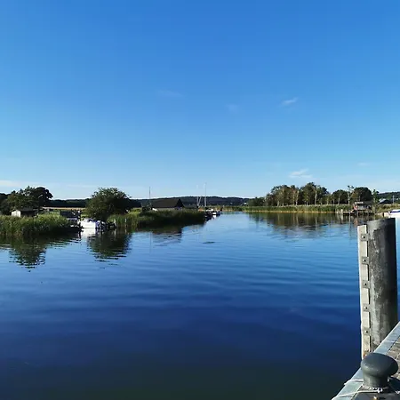 Reetdach Ferienhaeuser Alt Reddevitz