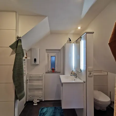 Reetdach Ferienhaeuser