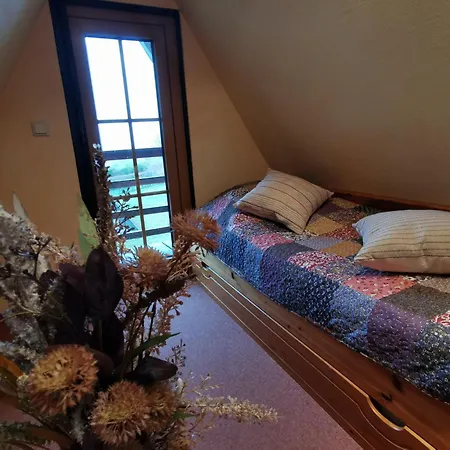 Reetdach Ferienhaeuser Alt Reddevitz