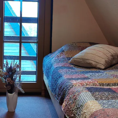 Reetdach Ferienhaeuser