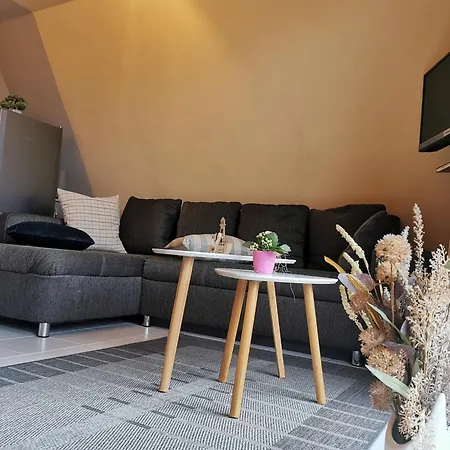 Reetdach Ferienhaeuser Hébergement de vacances Alt Reddevitz