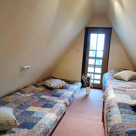 Reetdach Ferienhaeuser Alt Reddevitz