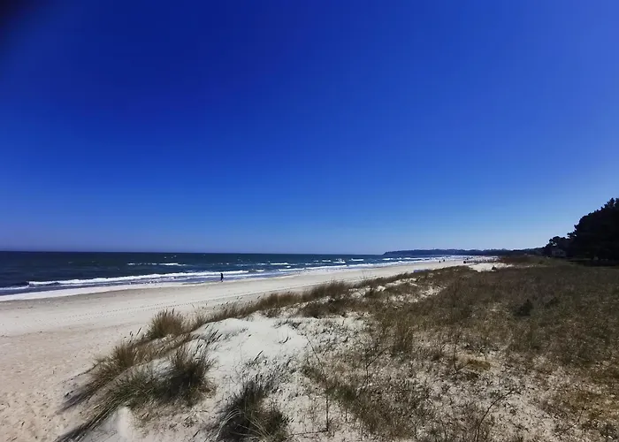 Reetdach Ferienhaeuser Alt Reddevitz