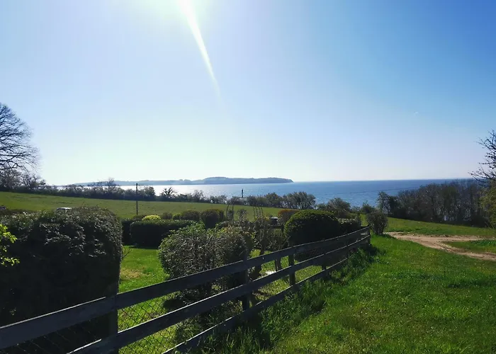 Reetdach Ferienhaeuser * Alt Reddevitz