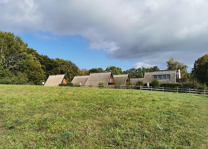 Reetdach Ferienhaeuser Alt Reddevitz