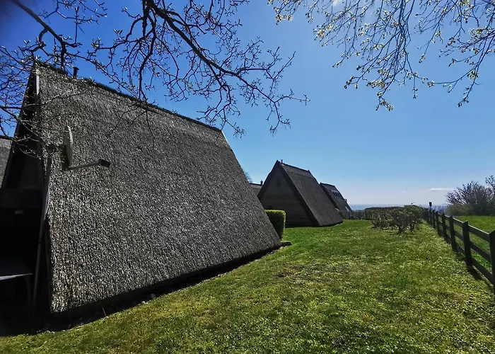 Reetdach Ferienhaeuser Alt Reddevitz