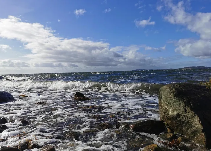 Reetdach Ferienhaeuser