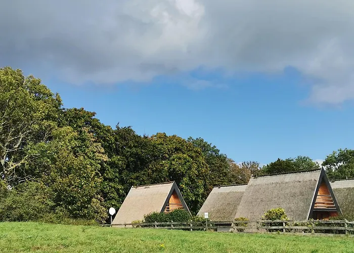 Reetdach Ferienhaeuser *