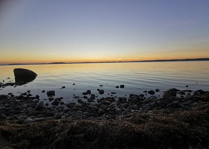 Reetdach Ferienhaeuser Alt Reddevitz