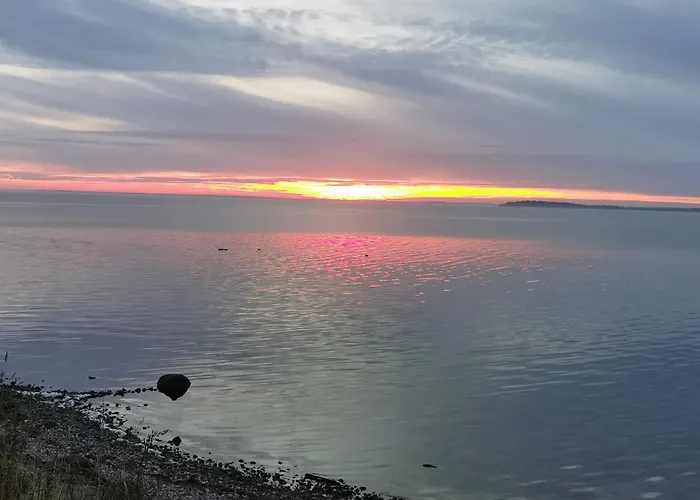 Reetdach Ferienhaeuser Alt Reddevitz