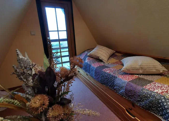 Reetdach Ferienhaeuser Alt Reddevitz