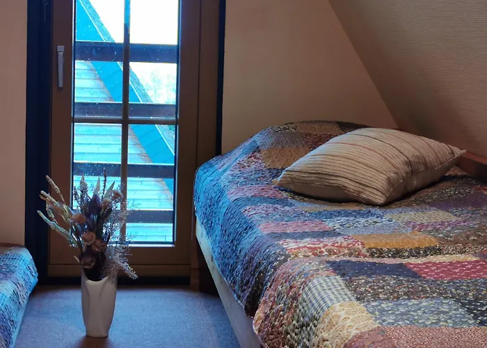 Reetdach Ferienhaeuser