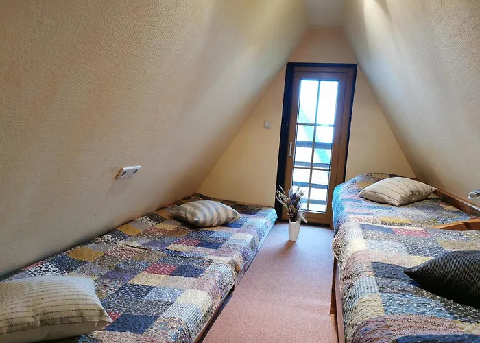 Reetdach Ferienhaeuser Alt Reddevitz